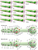 Pharynx Neurons